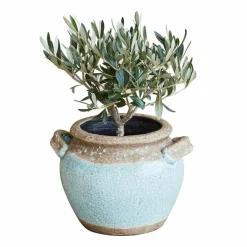 Übertöpfe & Amphoren^LOBERON Übertopf Elisa