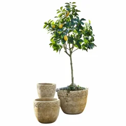 Übertöpfe & Amphoren^LOBERON Übertopf 3er Set Serrat