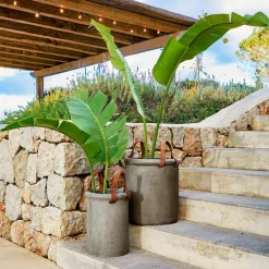 Übertöpfe & Amphoren^LOBERON Übertopf 2er Set Tessonet