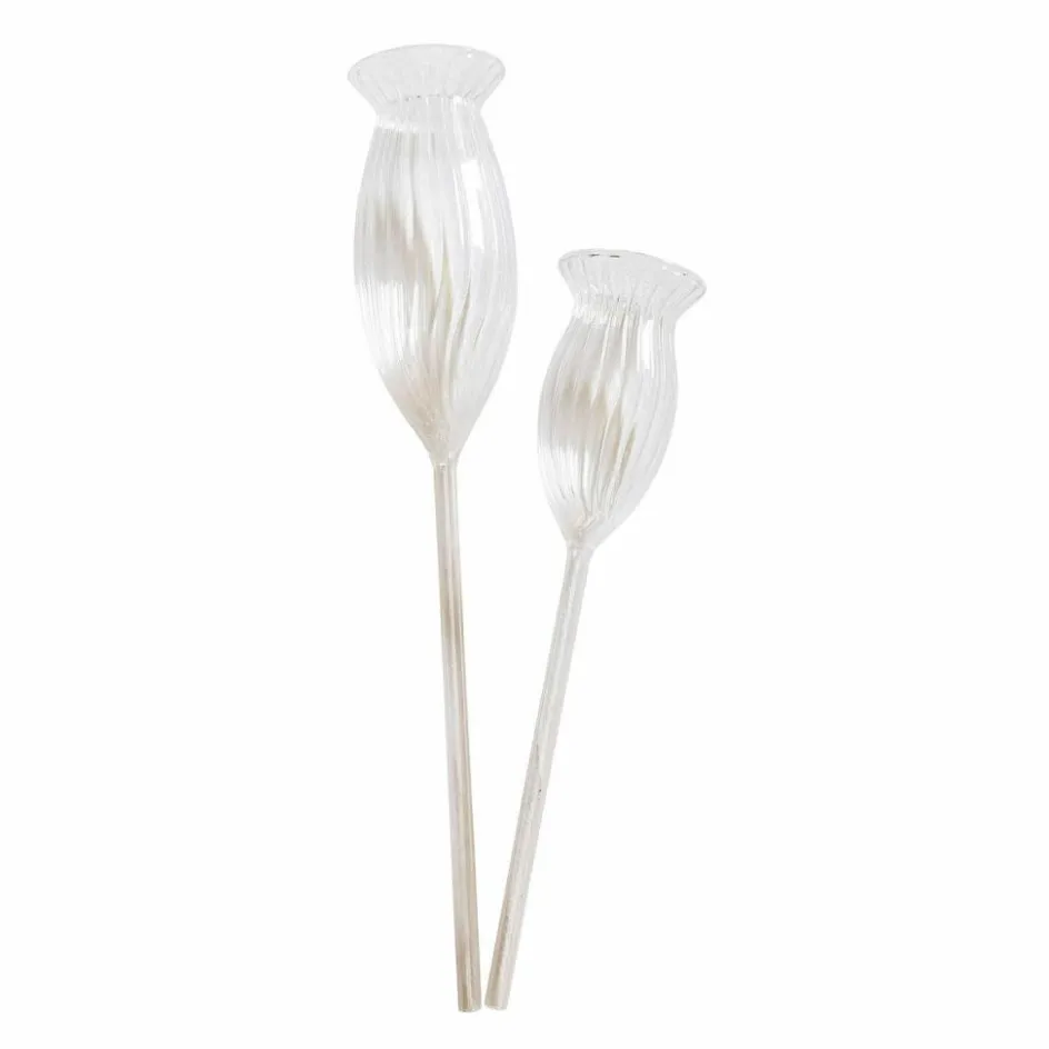 Gartenhelfer^LOBERON Bewässerungshilfe 2er Set Radisa