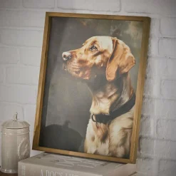 Accessoires & Spielzeug|Accessoires Für Haustiere^LOBERON Bild Purrana