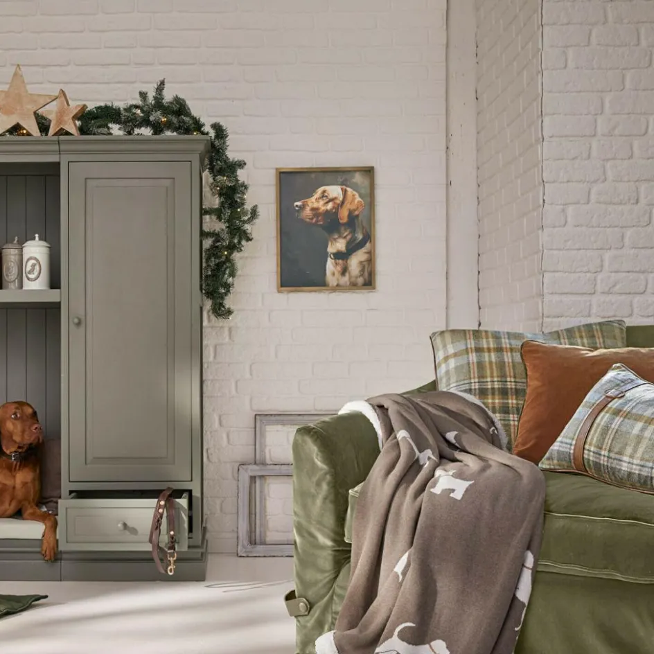 Accessoires & Spielzeug|Accessoires Für Haustiere^LOBERON Bild Purrana