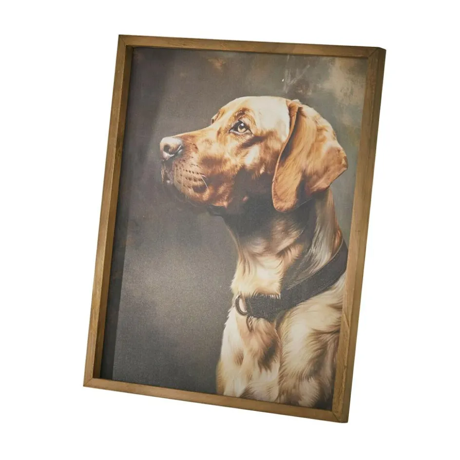 Accessoires & Spielzeug|Accessoires Für Haustiere^LOBERON Bild Purrana