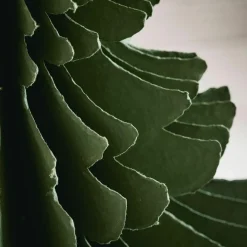 Weihnachtliche Deko-Objekte^LOBERON Deko-Baum 2er Set Amuré grün