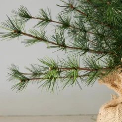 Weihnachtliche Deko-Objekte^LOBERON Deko-Baum 2er Set Bohicon