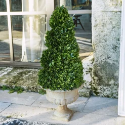 Kunst- & Trockenblumen^LOBERON Deko-Baum Humbria