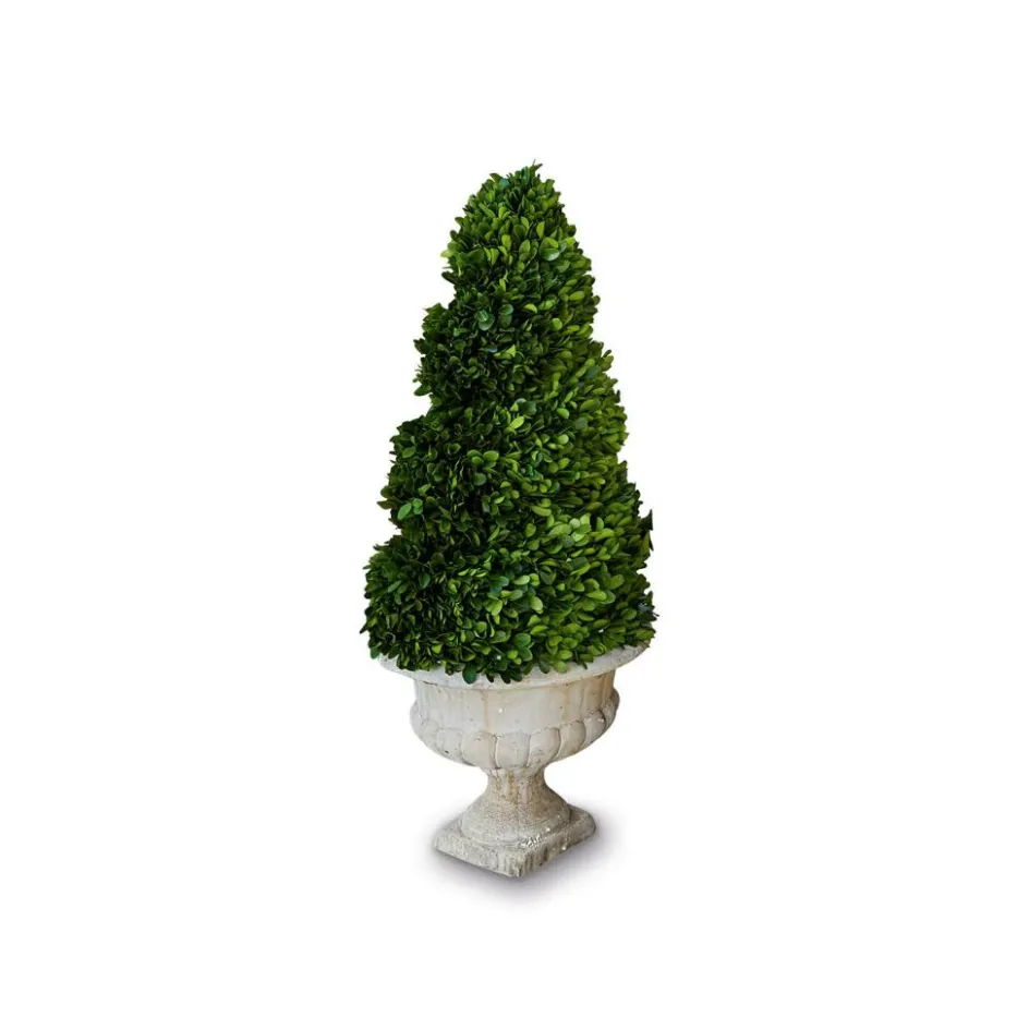 Kunst- & Trockenblumen^LOBERON Deko-Baum Humbria