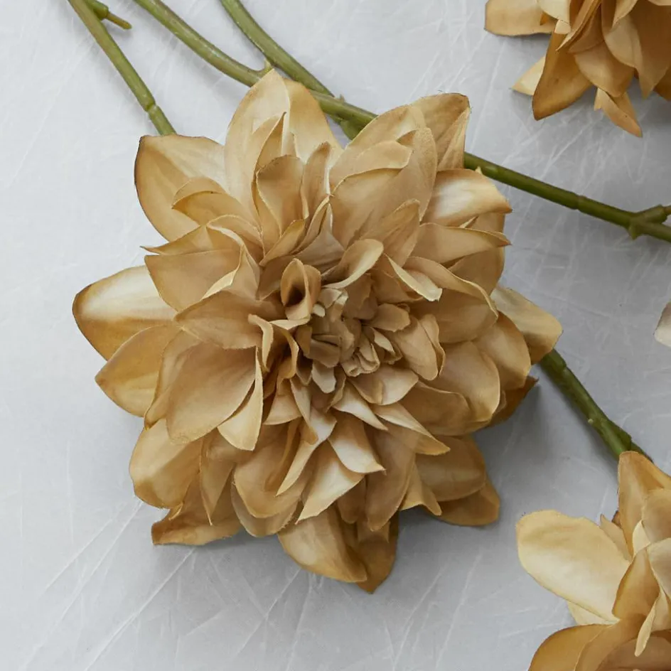 Kunst- & Trockenblumen|Dekoration^LOBERON Deko-Blume 4er Set Cappellina