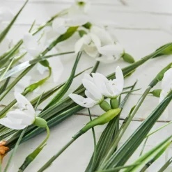 Kunst- & Trockenblumen|Dekoration^LOBERON Deko-Blume 12er Set Willmare