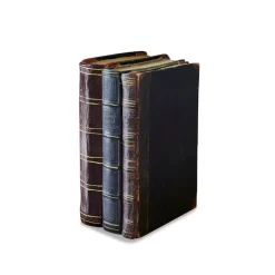 Dekoobjekte|Dekoration^LOBERON Deko-Buch Boaz braun