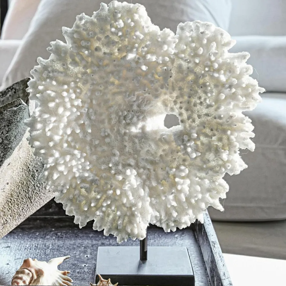 Dekoobjekte|Dekoration^LOBERON Deko-Koralle Condière