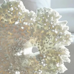 Dekoobjekte|Dekoration^LOBERON Deko-Koralle Condière