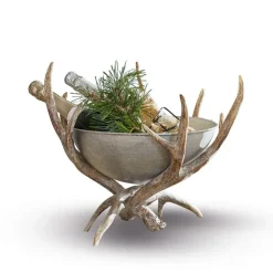 Schalen|Schalen & Dosen^LOBERON Deko-Schale Morlaix antikgrau