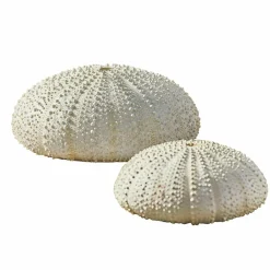 Gartendekoration^LOBERON Deko-Seeigel 2er Set Kimbar