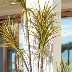 Kunst- & Trockenblumen|Dekoration^LOBERON Deko-Topfpflanze Ancerac