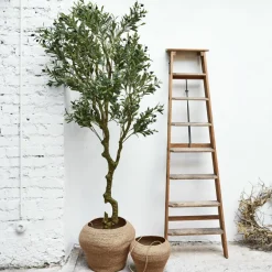 Kunst- & Trockenblumen^LOBERON Deko-Topfpflanze Dambly