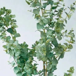 Kunst- & Trockenblumen|Dekoration^LOBERON Deko-Topfpflanze Dorevi