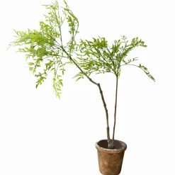 Kunst- & Trockenblumen^LOBERON Deko-Topfpflanze 2.Wahl Avenelle