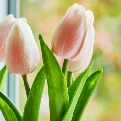 Kunst- & Trockenblumen|Dekoration^LOBERON Deko-Tulpe 2er Set Zéphine