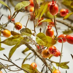 Girlanden|Dekoration^LOBERON Girlande Silovar