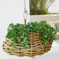 Übertöpfe & Amphoren^LOBERON Hängekorb Villaz