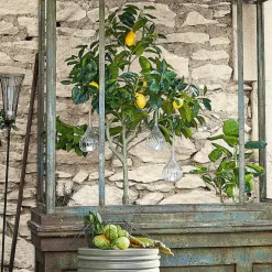 Windlichter^LOBERON Hängewindlicht 3er Set Fairlie