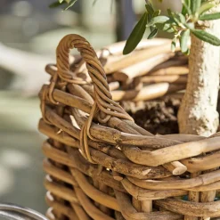 Gartenhelfer^LOBERON Korb 3er Set Chalet