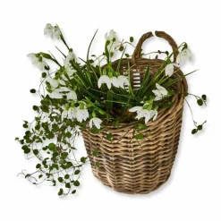 Körbe & Kisten|Aufbewahrung^LOBERON Korb Korovu