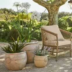 Übertöpfe & Amphoren^LOBERON Pflanztopf 3er Set Clorivon