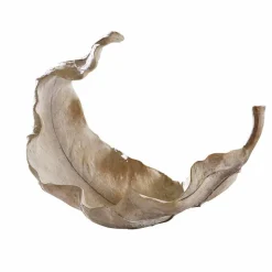 Schalen|Schalen & Dosen^LOBERON Schale Vibius