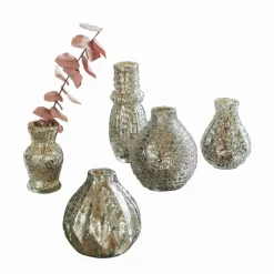 Vasen|Vasen & Übertöpfe^LOBERON Vase 5er Set Petillantique