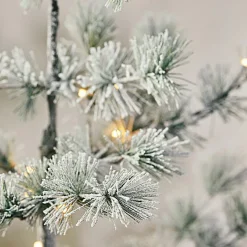 Weihnachtsbäume & Zubehör^LOBERON Weihnachtsbaum Falkirk