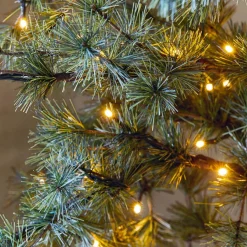 Weihnachtsbäume & Zubehör^LOBERON Weihnachtsbaum Sapi grün